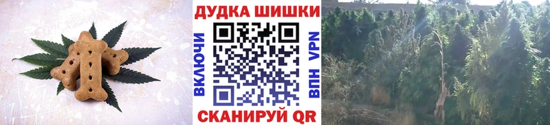 Canna-Cookies марихуана  Вольск 