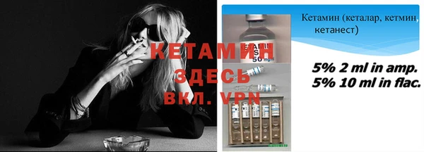 скорость Болотное