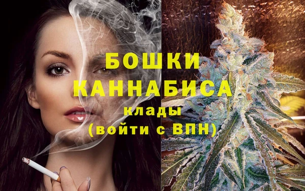 мет Пересвет