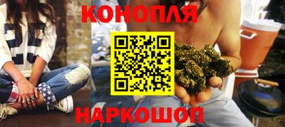 мяу мяу мука Гай