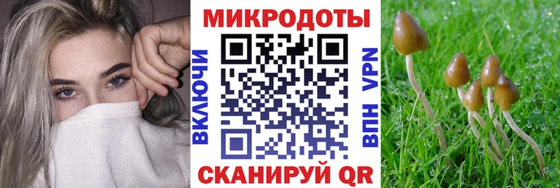 где можно купить наркотик  Вольск  гидра зеркало  Псилоцибиновые грибы мицелий 