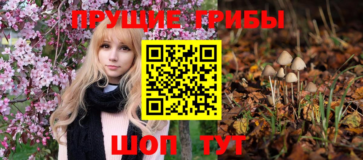 Галлюциногенные грибы мухоморы Вольск
