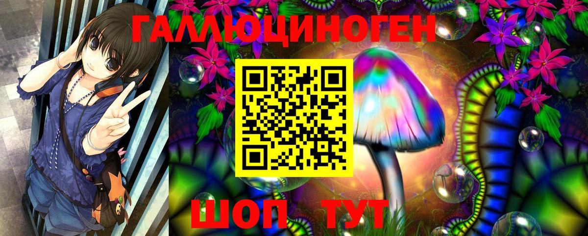 Вольск  Псилоцибиновые грибы Psilocybine cubensis  Вход с VPN  Галлюциногенные грибы мухоморы 
