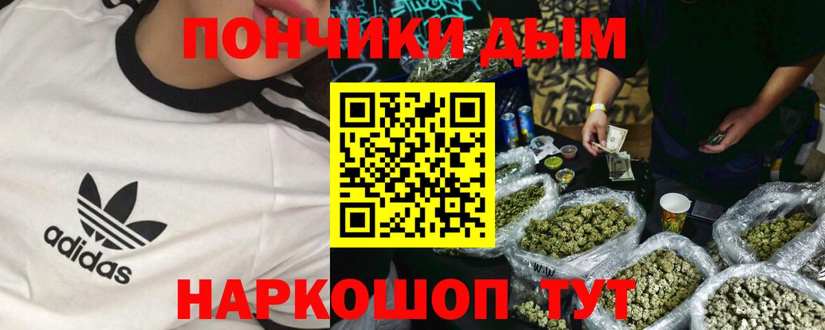 Конопля сатива  Конопля сатива  Конопля SATIVA & INDICA  Вольск 